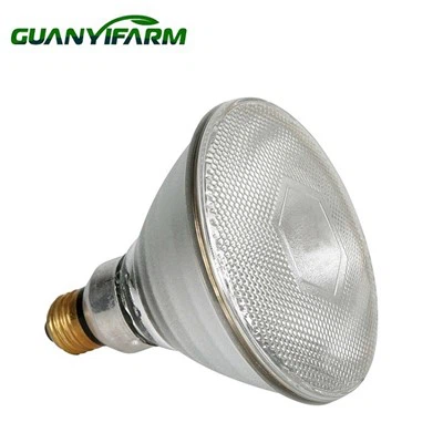 200 Watt Isı Lambası